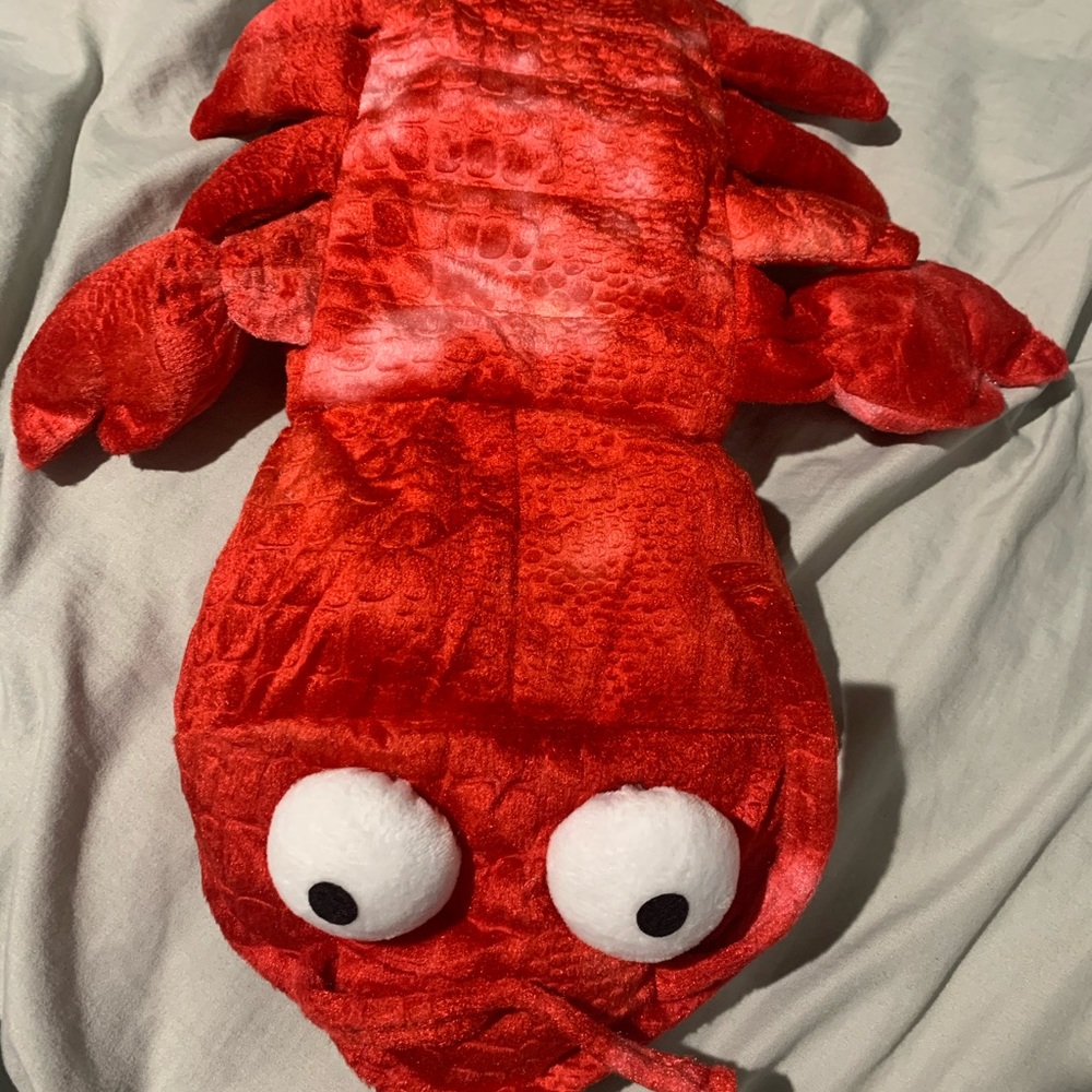 Small dog lobster costume